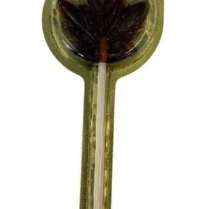CANADA MAPLE SUCKERS